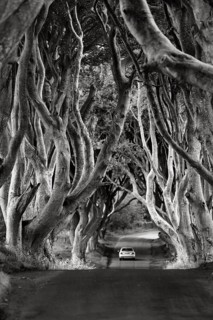 Famous avenue of beech trees, The Dark Hedges, tunnel avenue, mystical film set, film location for