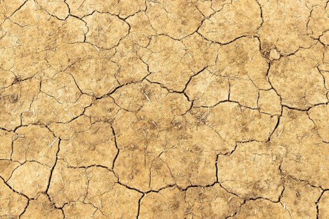 Dry soil, global warming, global warming, Moreton-in-Marsh, Cotswolds, England, Great Britain