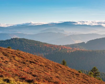 View from the summit of the Belchen (1414m) over the hills of the Black Forest in the morning