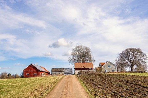 Gravel road by fields to a farm on a hill on the swedish countryside a a sunny spring day
