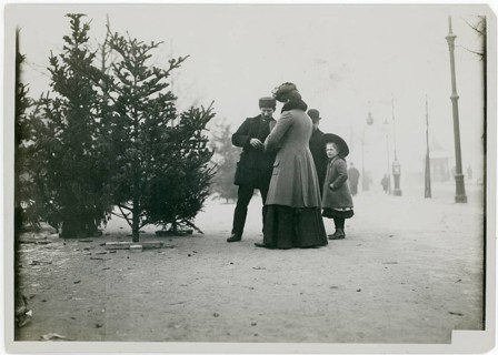 Berlin, Christmas tree sale, A family looking at Christmas trees on a wintry street, Philipp