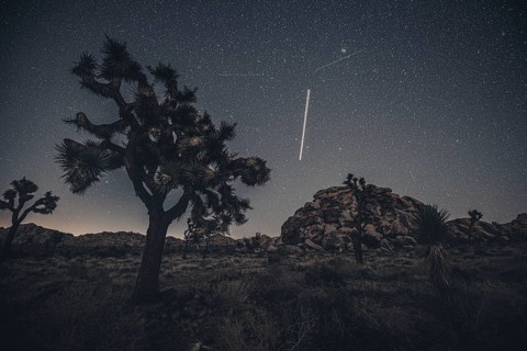 Starry sky in Joshua Tree National Park