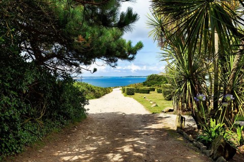 Idyllic coastal path, palm trees, subtropical vegetation, Hugh Town, St Mary's, Isles of Scilly,