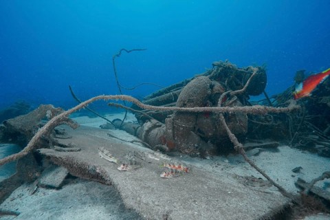 Shipwreck with machinery and small fish surrounded by a blue underwater landscape, meteor wreck