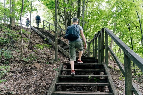 A man seen from behind climbs a wooden staircase on a forest trail. Two hikers walk ahead among