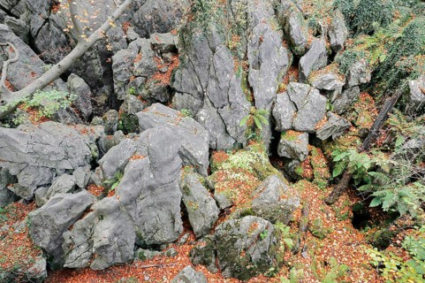 Rock formations in autumn, Felsenmeer, Hemer, North Rhine-Westphalia, Germany