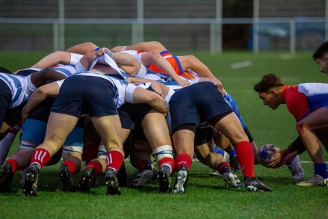 Rugby 1st Bundesliga South/West, season 2024/25, matchday 7 (catch-up match) : Heidelberger