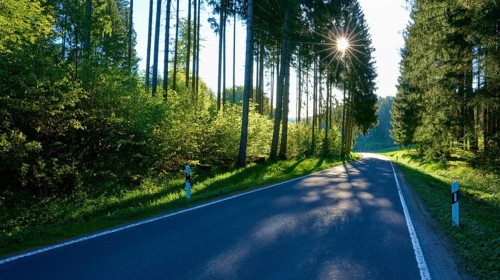 A long road through a thick forest, illuminated by occasional sunbeams and quiet, Fellen,