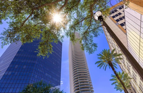 Low angle view of modern high rise office and residential buildings with palm trees and sun flare