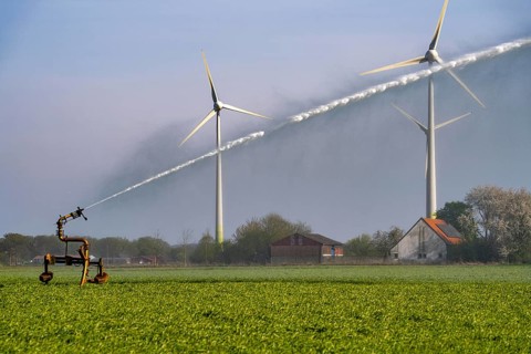 Artificial irrigation of a cereal field in April, with a sprinkler system, long dry spell in spring