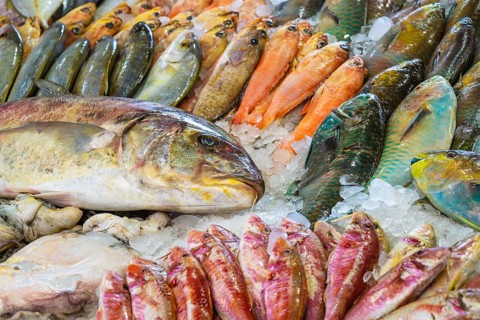 Red Sea Fish, Fish Market in Hurghada, Egypt