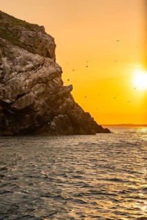 Rocky coast by the sea with sunset in the background and flying birds, Howth, Ireland