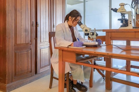 Young female scientist in white lab coat and purple gloves looking through a stereo microscope