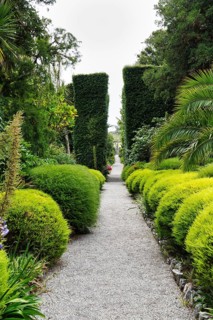 Subtropical paradise with a rich variety of plants, botanical garden, dirt road, Tresco Abbey