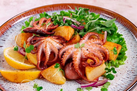 Grilled octopus with baked potatoes and fresh herbs, on a decorative plate, homemade