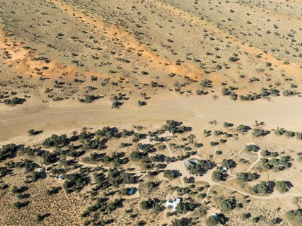 Torgos Lodge, the dry bed of the Auob River and sand dunes grown with camelthorn trees (Vachellia