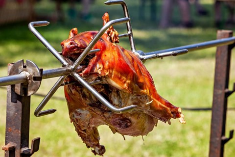 Whole suckling pig on skewer on a grill over charcoal on a summer meadow, suckling pig on spies