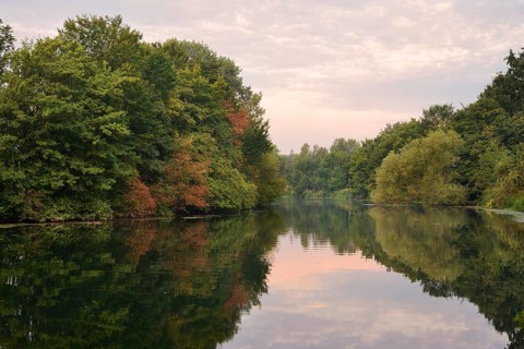 Lippe and deciduous trees in summer, North Rhine-Westphalia, Germany