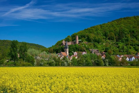 A picturesque landscape with a castle on a hill and a blooming yellow field in the foreground,