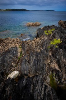 Rocky coast, rocky beach, Pennance Point, Falmouth, Falmouth Bay, Cornwall, England, Great Britain,
