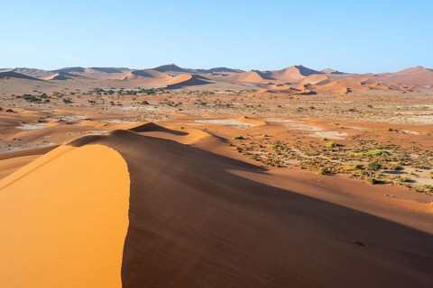 Sand dune in the Namib Desert, Namib Naukluft Park, Namibia