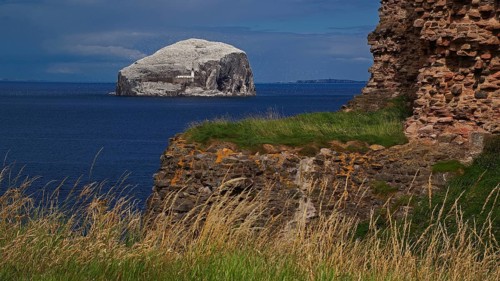 Europe, Scotland, United Kingdom, England, Bass Rock