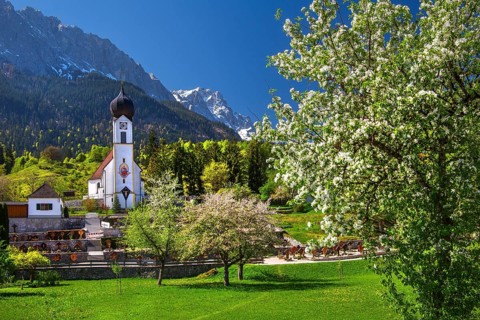 Parish church in Obergrainau with blooming trees and the Zugspitze 2962m in spring, Grainau,