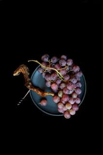 Red grape vine (Vitis vinifera) with corkscrew against a dark background