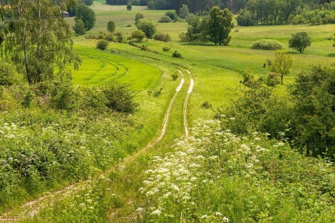 Germany, green belt, Saxony, cultivated landscape, Fuchspöhl, border strip, convoy road, cultural