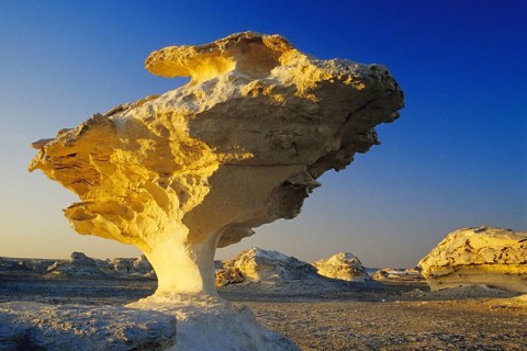 Rock in the white desert, porcini mushroom, mushroom formation, Egypt