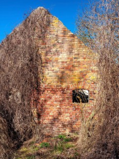 Abandoned and derelict farmhouses on undeveloped land in Rügen, Mecklenburg-Vorpommern, Germany
