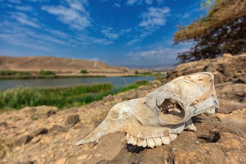 Landscape, Oman, Wadi Darbat, Khor Rori, Khawr Rawri, Mountain, Reeds, Rock, Stone, Skull,