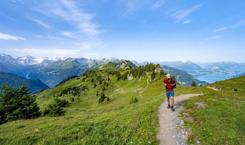 Hikers on a hiking trail on the Schynige Platte, picturesque mountain landscape, Bernese Alps,