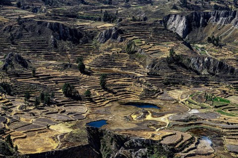 Mountain landscape with terraced fields in Colcacanon, Canon del Colca, Andes, Southern Peru, Peru,