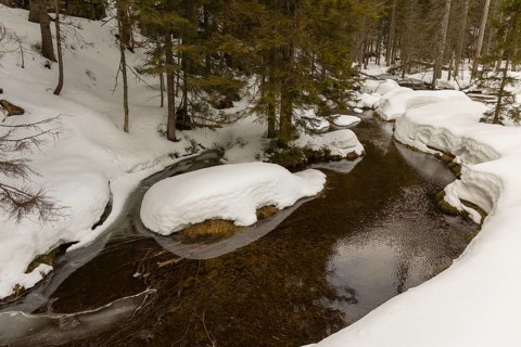Lake Grosser Arbersee in late winter. The lake and the adjacent forest are snow covered. Germany,