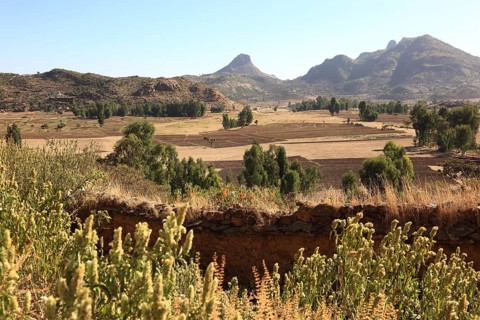 Landscape in the mountains of Adua, Adua Mountains, Ethiopia