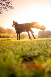 Wooden sculpture of a fox at sunrise in a green landscape, Dachtel, Aidlingen, Heckengäu region,