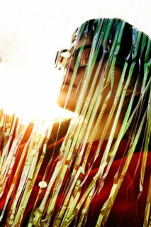 A uniquely artistic portrait of an ethnic Middle Eastern woman, captured behind shimmering strands.