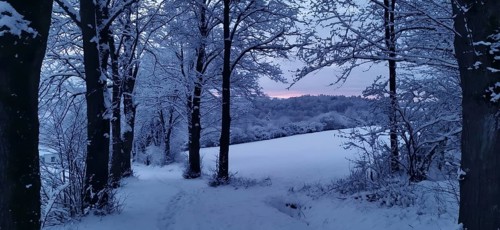 A snowy forest trail in pink evening light surrounded by quiet winter trees, Kronach, hiking in