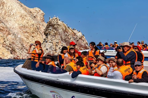 Tourists in the West on a speedboat photograph rocks and birds in the sea, tourist boat at the