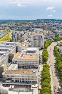 Urban office building with an avenue of trees in the foreground seen from a bird's eye view,