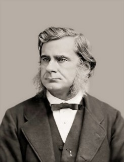 Thomas Henry Huxley, 1825 – 1895, English biologist and anthropologist, specialized in comparative