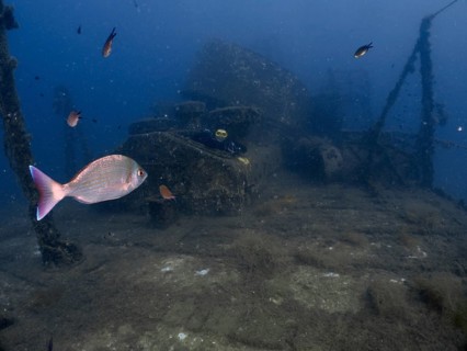 Fish swim over a sand-covered underwater wreck in murky water, dive site wreck of the Vis, Pula,