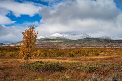 Autumnal mountain landscape, Rondane National Park, Norway