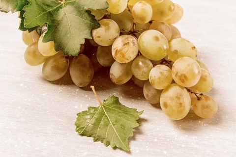 A branch of white grapes with leaves, on the table, top view, close-up, no people