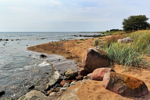 Typical coastline, round granite rocks, sandy soil and characteristic vegetation, South Gotland,