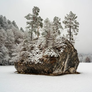 Snow-covered rock with trees in winter landscape, Schusterstein, Schönau am Königssee,