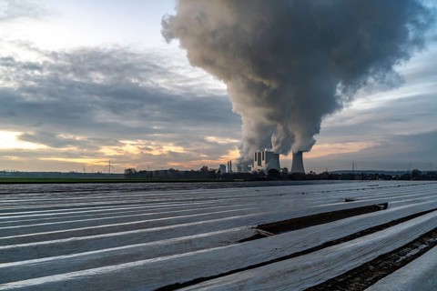 Neurath lignite-fired power plant, near Grevenbroich, power plant units F and G, A-E, asparagus