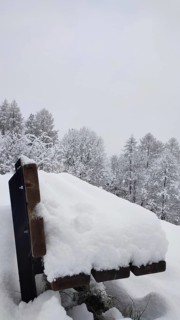 Snowy bench in a quiet forest in winter, Franconian Forest nature park Park