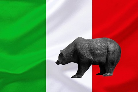 Stock market, stock prices, bear market, falling prices, flag, national flag, bear, bull and bear,
